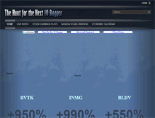 Tablet Screenshot of huntforthenext10bagger.com